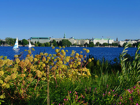 Blick nach Osten von der Außenalster - Hamburg (Hamburg)