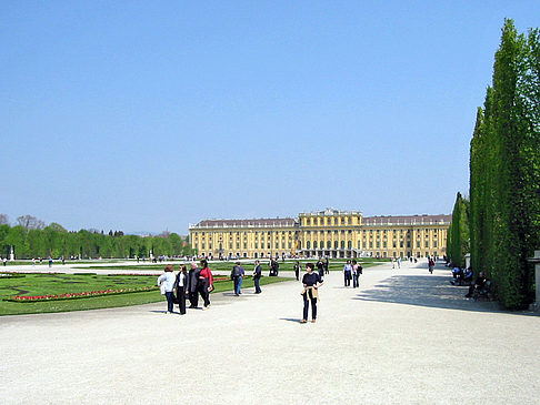 Schlossgarten des Schloss Schönbrunn - Wien (Wien)