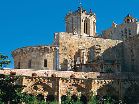 Foto Weingebiet Penedès - Salou