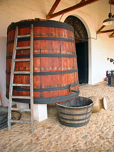 Museu del Vi - Mittelmeerküste (Vilafranca del Penedès)