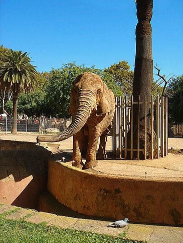 Fotos Parc Zoològic